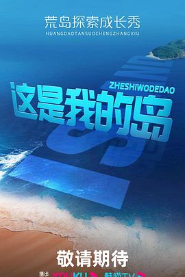 这是我的岛 先导下