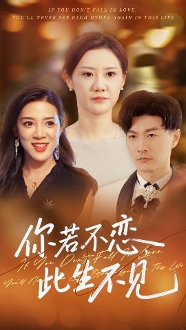 你若不恋此生不见(全集)