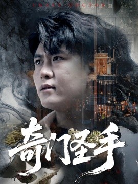 奇门圣手(全集)