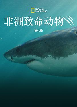 非洲致命动物第七季(全集)