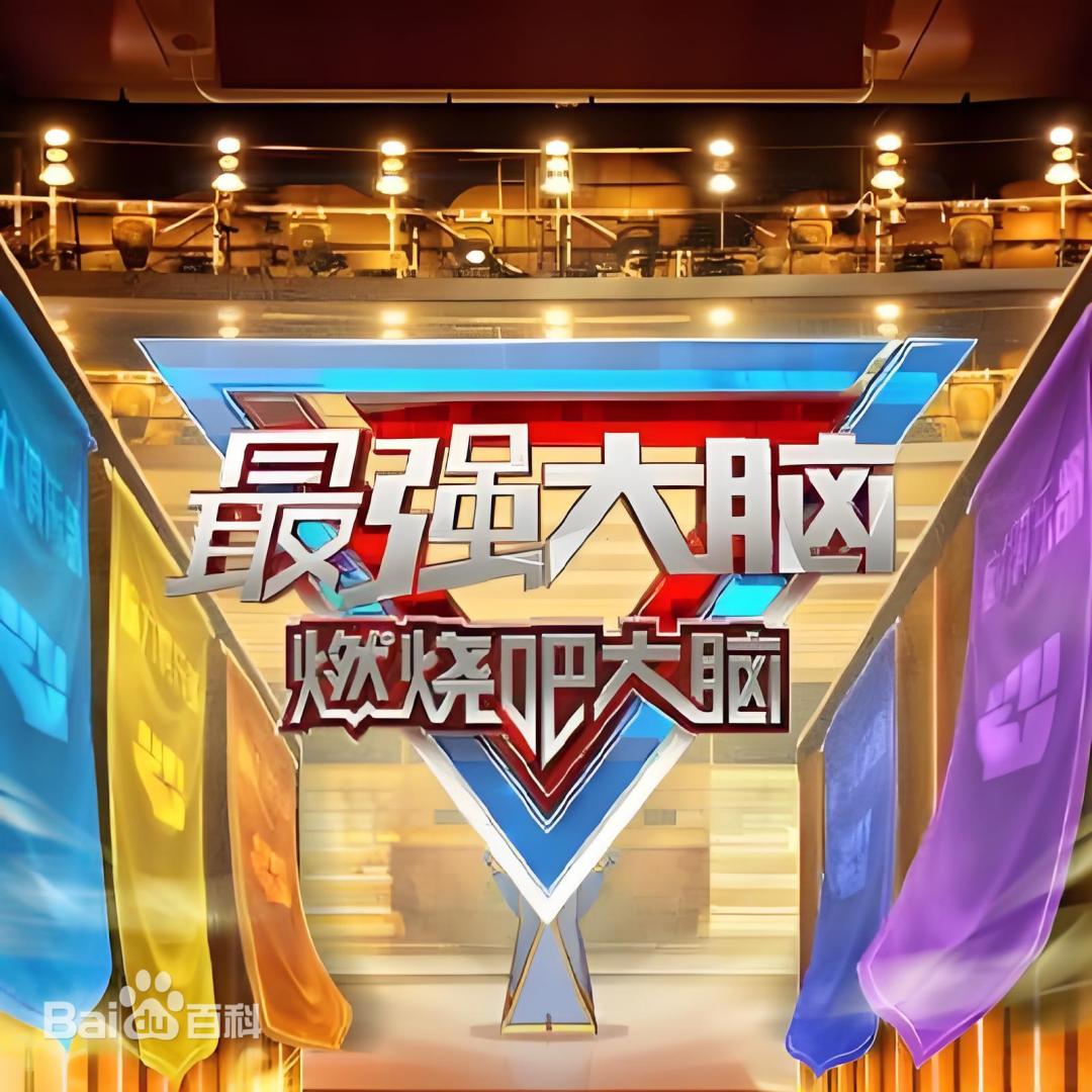 最强大脑 第十三季