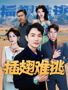 插翅难逃 短剧版(全集)