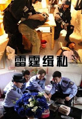雷霆缉私(全集)