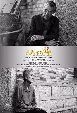 大树下的守望(全集)