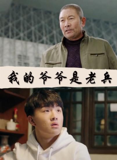 我的爷爷是老兵(全集)