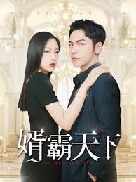 婿霸天下(全集)