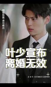 叶少宣布离婚无效(全集)