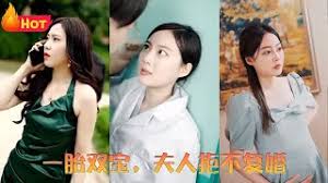 一胎双宝,夫人拒不复婚(全集)
