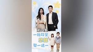一胎双宝：总裁娶一送一(全集)