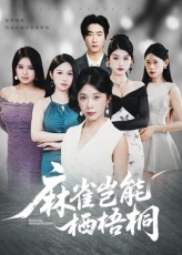 麻雀岂能栖梧桐(全集)