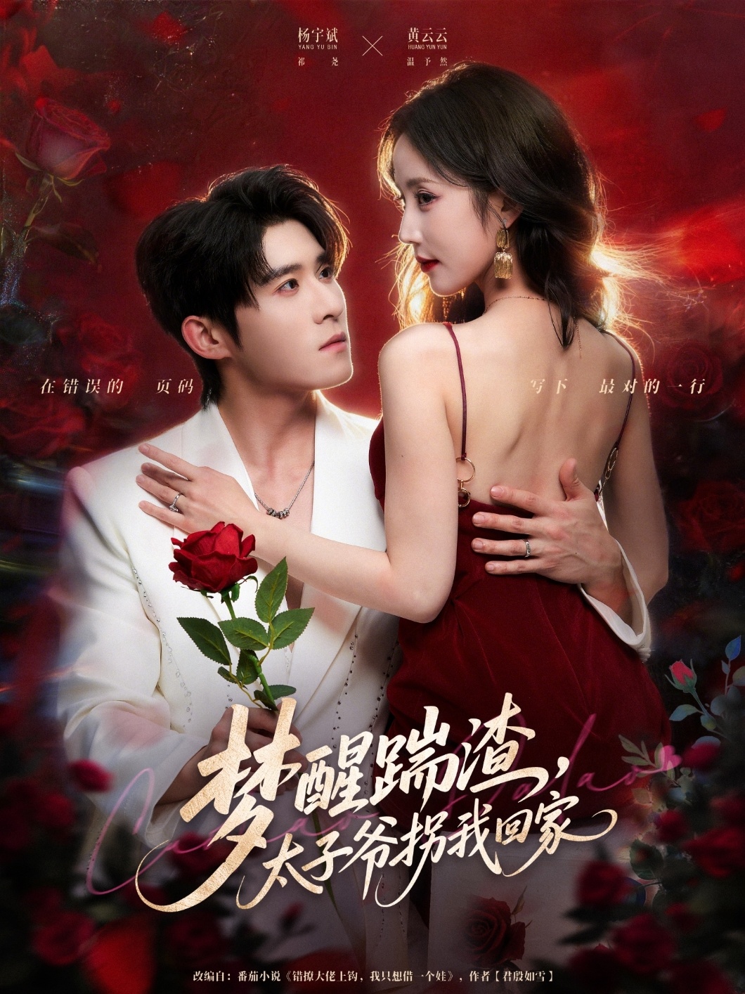 梦醒踹渣-太子爷拐我回家(全集)