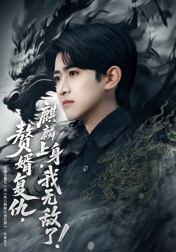 赘婿复仇麒麟上身我无敌了(全集)