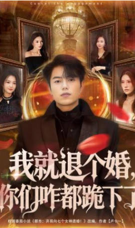 我就退个婚-你们咋都跪下了(全集)